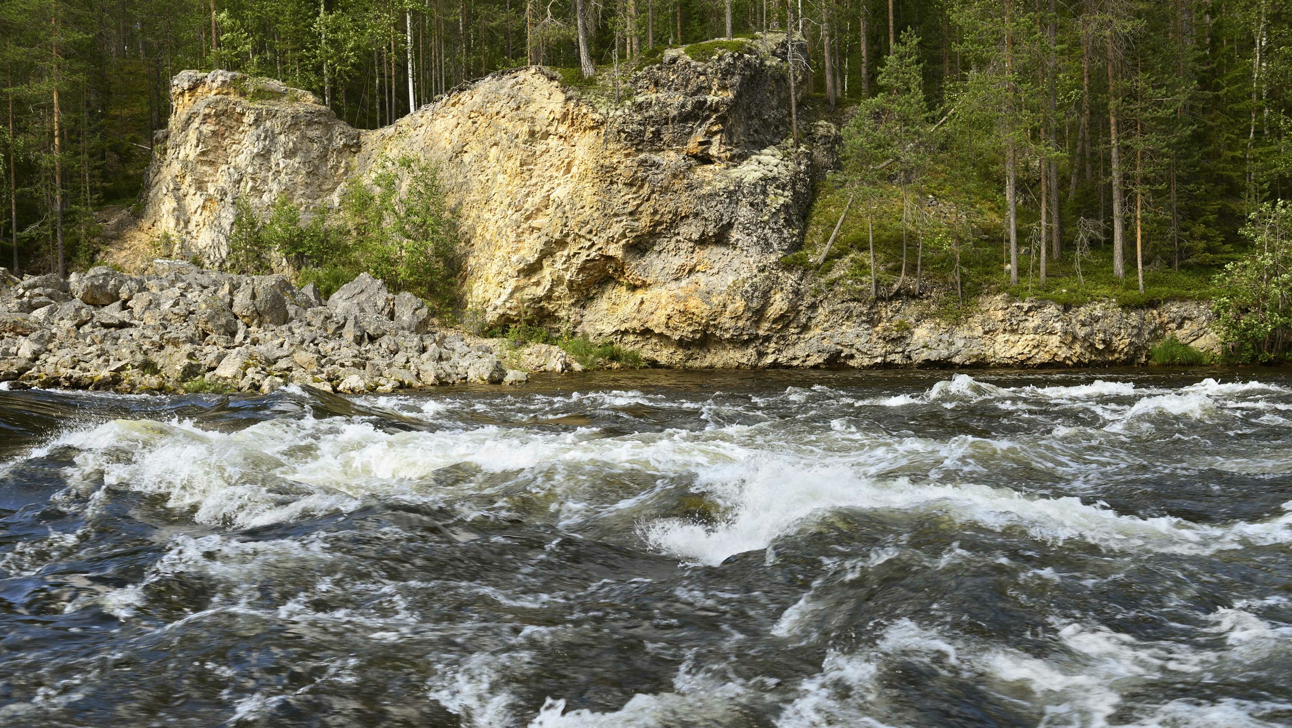 A photo of fast moving river with the riverbank in the background.