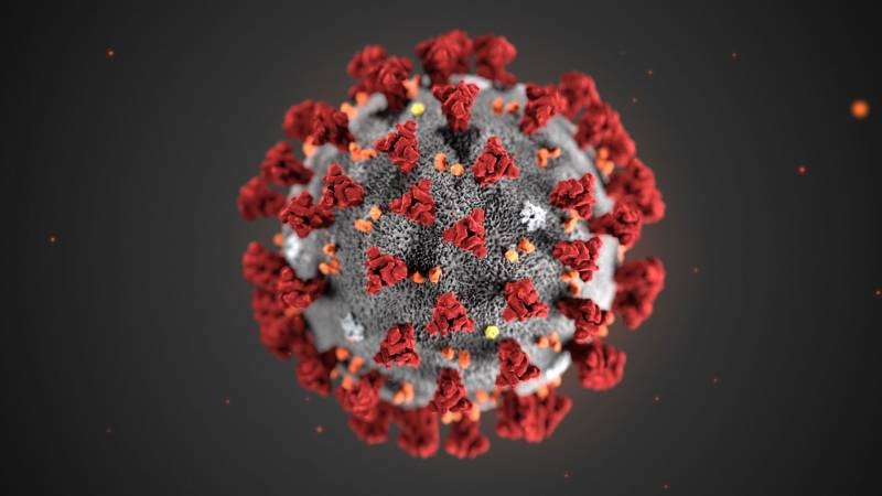 photo of SARS-CoV-2 the Coronavirus 