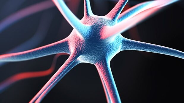 A render of a neuron.